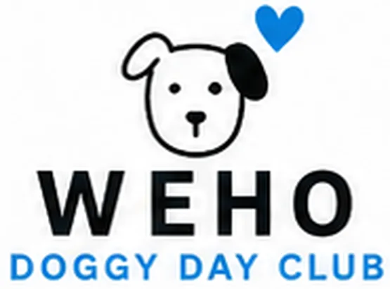 West Hollywood Dog Daycare